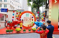Découvrir la rue de livres de Hanoï les premiers jours du Nouvel An du Buffle