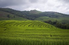 Le charme des rizières en terrasses dans la province montagneuse de Hoa Binh