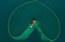 La beauté de la pêche aux anchois au Vietnam célébrée par le Daily Mail