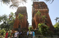 Les tours jumelles - témoignage de la beauté de l'ancienne architecture du Champa à Binh Dinh 