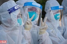 OMS : le Vietnam sur la bonne voie dans la gestion des épidémies actuelles