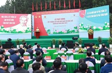 Le PM Pham Minh Chinh à la Fête de plantation d'arbres du Printemps 2023 à Hanoï