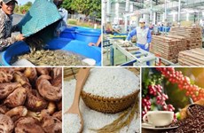 Exportations : neuf produits agricoles franchissent la barre du milliard de dollars