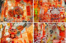 Hang Ma, rue multicolore au coeur de Hanoï à l'approche du Têt
