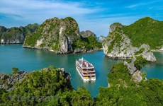 Heritage Cruises raconte l'histoire du « roi des navires » du Vietnam