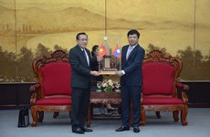 Da Nang renforce ses relations avec la province lao de Salavane