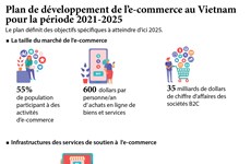 Plan de développement de l’e-commerce au Vietnam  pour la période 2021-2025