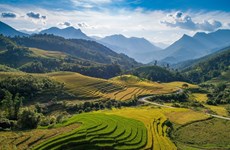 Le Vietnam, pays des sites pittoresques
