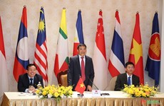 Promotion de l'initiative du Vietnam sur le placement du drapeau de l'ASEAN
