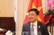 Les relations Vietnam-Japon bien appréciées par des experts et un diplomate