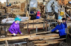 Les zones de matières premières stables nécessaires pour développer la filière bois durable 