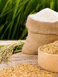 Efforts pour porter les exportations de riz à 7 millions de tonnes en 2023