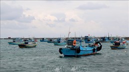 INN: Thanh Hoa appelée à prendre des mesures plus drastiques 