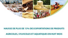 Hausse de plus de 13% des exportations de produits agricoles, sylvicoles et aquatiques en huit mois