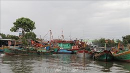 Renforcement de la sensibilisation à la lutte contre la pêche INN à Tiên Giang