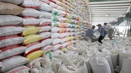 Des pistes pour intensifier les exportations alimentaires vers le marché africain