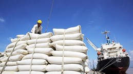 Les Philippines, premier importateur de riz vietnamien en neuf mois