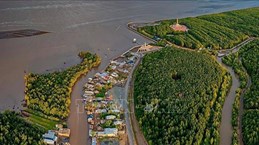 Le WWF aide les localités du delta du Mékong à s'adapter au changement climatique