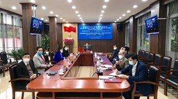 Quatre localités vietnamiennes et le Yunnan creusent le sillon de la coopération agricole