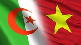 Le Vietnam et l’Algérie cultivent de bonnes relations d’amitié traditionnelles