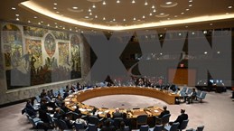 Conseil de sécurité : le Vietnam appelle à une coopération pour régler des questions en Syrie