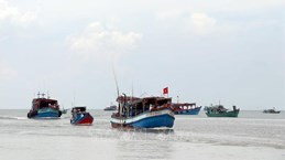 Ca Mau contribue aux efforts communs contre la pêche INN