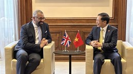 Le Vietnam promeut sa coopération avec le Royaume-Uni, Hong Kong (Chine) et la Lituanie