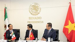 Porter l'amitié Vietnam-Mexique à une nouvelle hauteur
