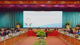Binh Dinh présente son potentiel et ses avantages à des partenaires étrangers