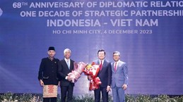Ho Chi Minh-Ville souhaite contribuer au développement des relations Vietnam-Indonésie