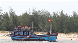 Quang Tri propose des mesures pour mieux gérer les navires de pêche