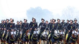 La Police mobile à cheval s'améliore constamment en termes de professionnalisme et de modernité