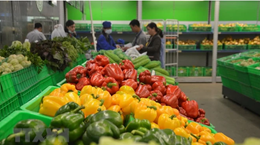 Profiter des opportunités pour maintenir la croissance des exportations de fruits et légumes