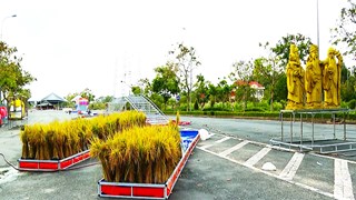 Le 5e festival du riz vietnamien à Vinh Long