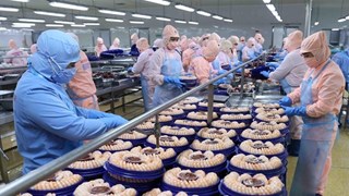 Pour promouvoir les exportations de produits agricoles vietnamiens aux Pays-Bas
