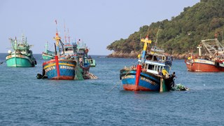 Kien Giang et Ca Mau coopèrent pour lutter contre la pêche illégale, non déclarée et non réglementée