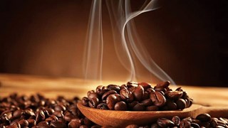 Le prestige et la valeur du café vietnamien s'améliorent