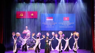 Le 50e anniversaire des relations Vietnam-Singapour célébré à Ho Chi Minh-Ville