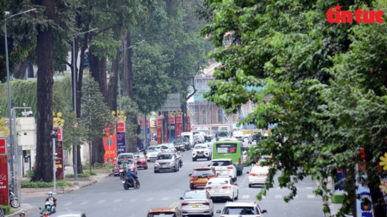 A Hô Chi Minh-Ville, les arbres aident les habitants à résister à la chaleur étouffante