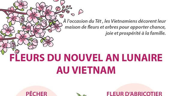 Fleurs du Nouvel An lunaire au Vietnam