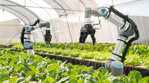 La science et l’innovation contribueront à plus de 50% à la croissance agricole en 2030