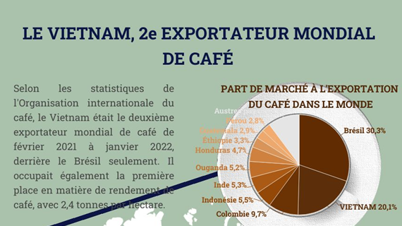 Le Vietnam, 2e exportateur mondial de café