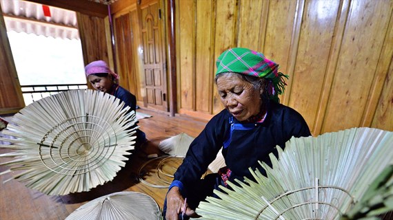Les Tày de Bac Ha préservent le métier de fabricant de chapeaux en feuilles de palmier