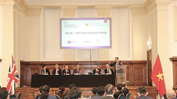 Coopération économique et commerciale Vietnam-Royaume-Uni en plein essor