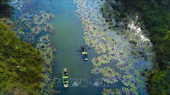 Le Vietnam multiplie les actions pour les zones humides