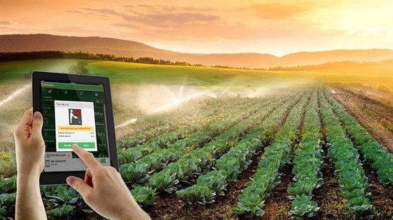 Vers une agriculture durable grâce aux applications scientifique et technologique