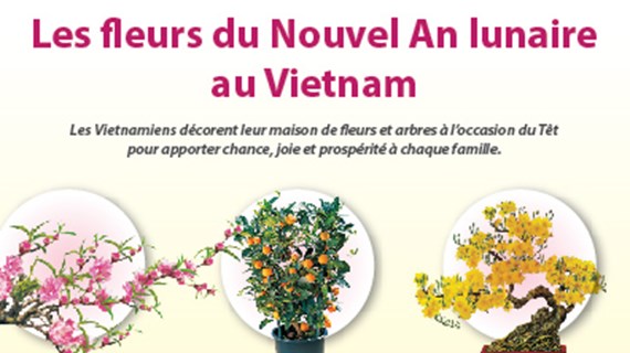 Les fleurs du Nouvel An lunaire au Vietnam