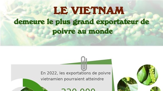 Le Vietnam demeure le plus grand exportateur de poivre au monde