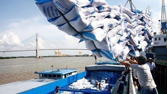 Le prix à l’export du riz vietnamien en tête dans le monde