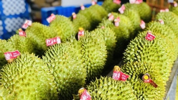 Affirmer la position du durian dans le club des produits exportations d'un milliard de dollars